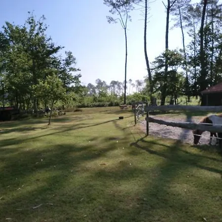 Le Gahoun - D'hotes Castets