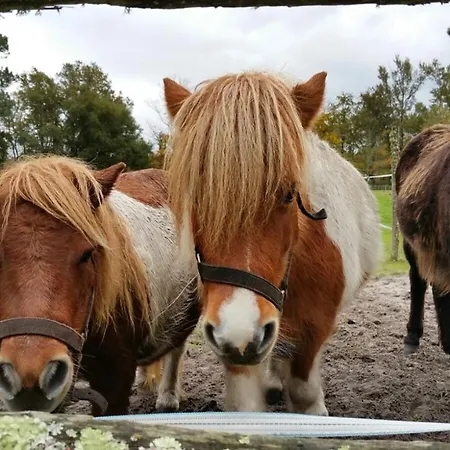 Affittacamere Le Gahoun - D'hotes 3*